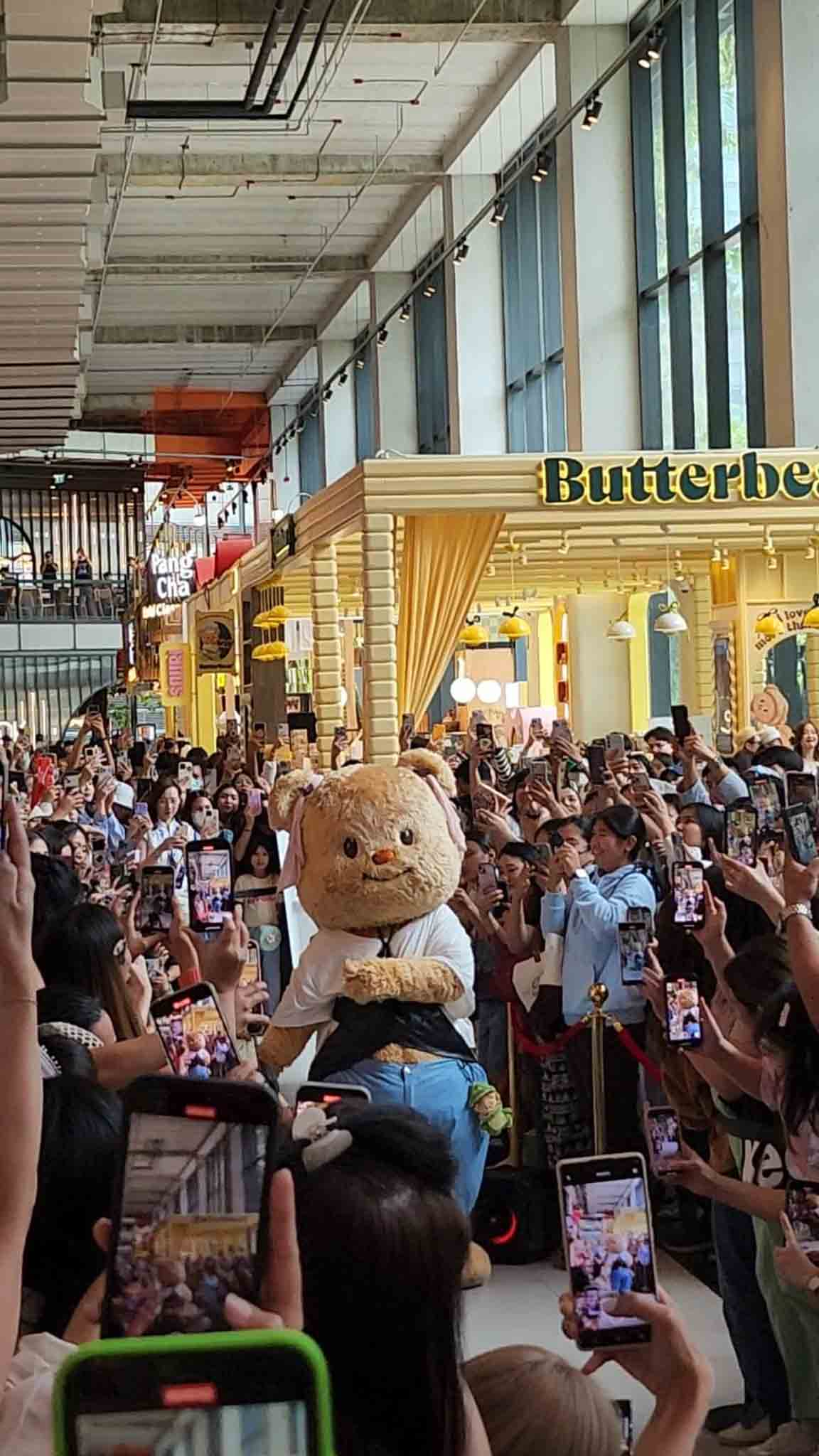 mascot-gau-butter-bear-7